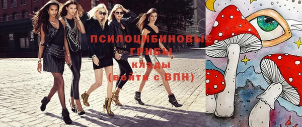 ПСИЛОЦИБИНОВЫЕ ГРИБЫ Алексин