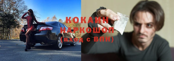 индика Алзамай