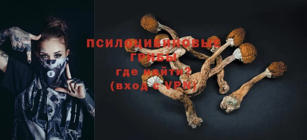 индика Алзамай