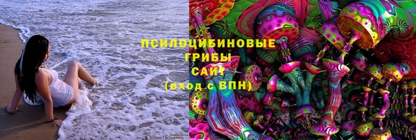 индика Алзамай