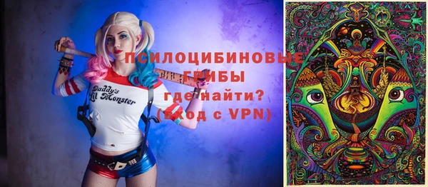 ГАЛЛЮЦИНОГЕННЫЕ ГРИБЫ Алексеевка