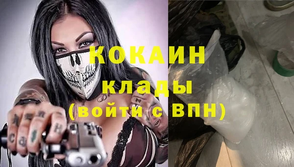индика Алзамай