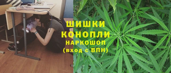 ГАЛЛЮЦИНОГЕННЫЕ ГРИБЫ Алексеевка