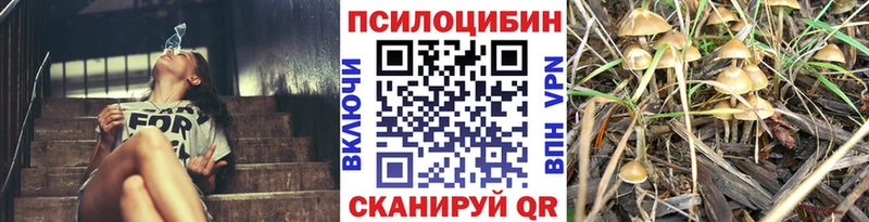 Псилоцибиновые грибы MAGIC MUSHROOMS  Тулун 