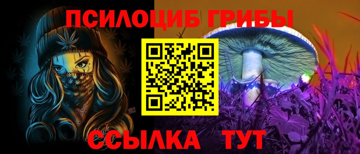 Псилоцибиновые грибы мицелий  Псилоцибиновые грибы Magic Shrooms  Вход с VPN  Тулун 