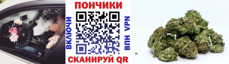 Шишки марихуана индика  Тулун 